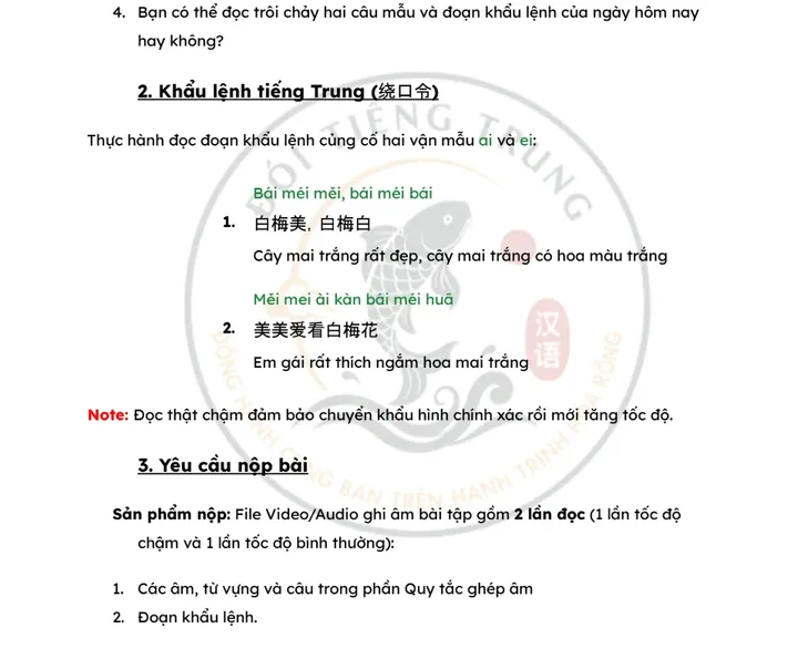 Screenshot đề bài PDF thực tế Thử thách Đói Tiếng Trung